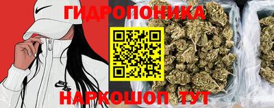 СК Сланцы