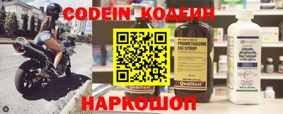 СК Сланцы