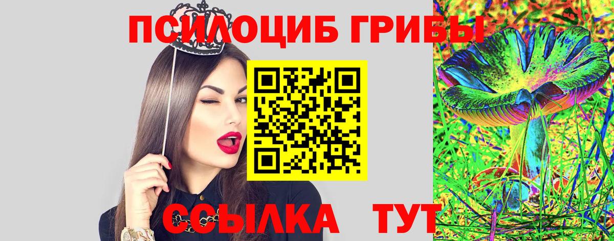 Псилоцибиновые грибы Psilocybine cubensis Миасс