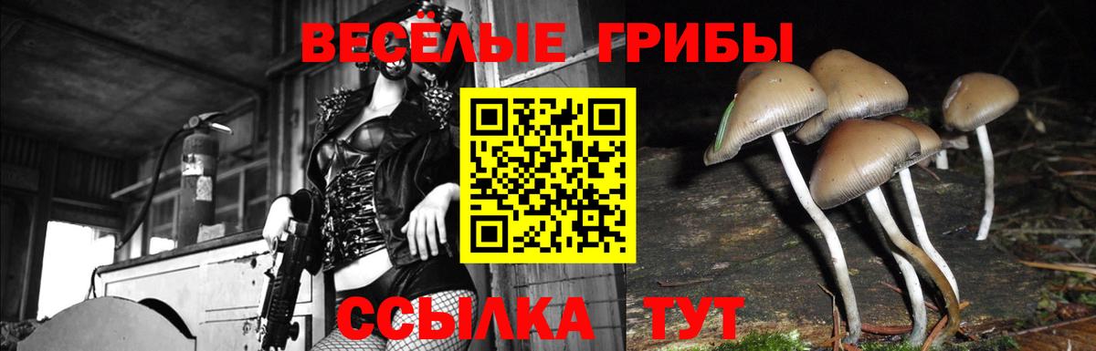 Галлюциногенные грибы MAGIC MUSHROOMS  Вход с VPN  Миасс 